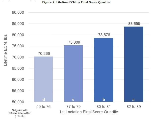 Lifetime ECM by Final Score Quartile